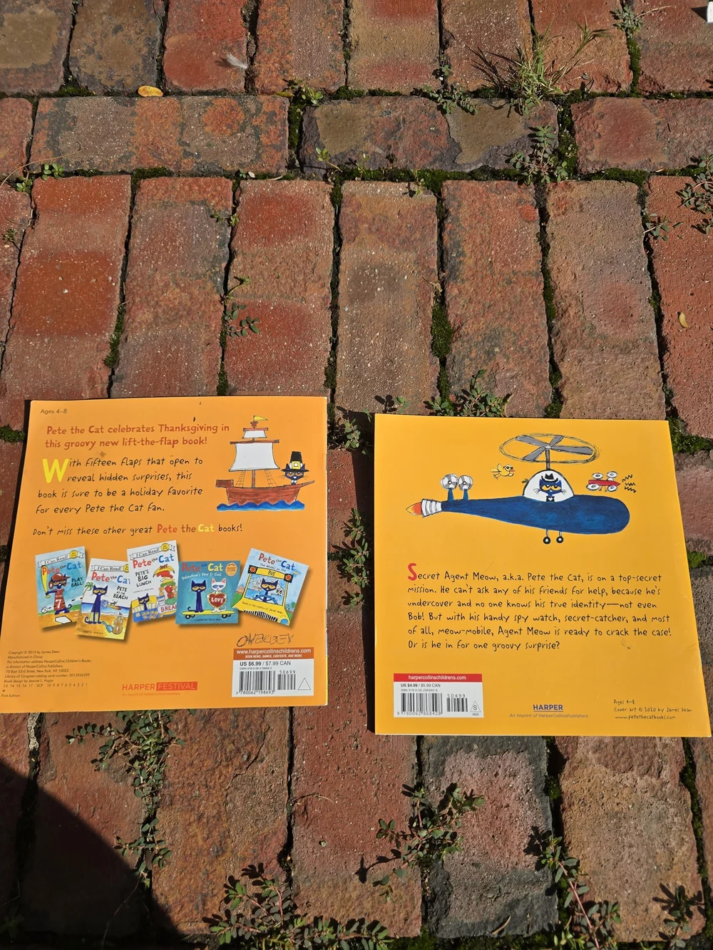 Pete the Cat Kids Book Set Learn To Read Lift The Flap Sticker Books Rhyme